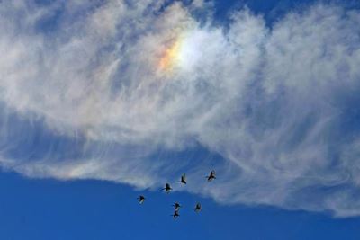 'Flames' in the sky